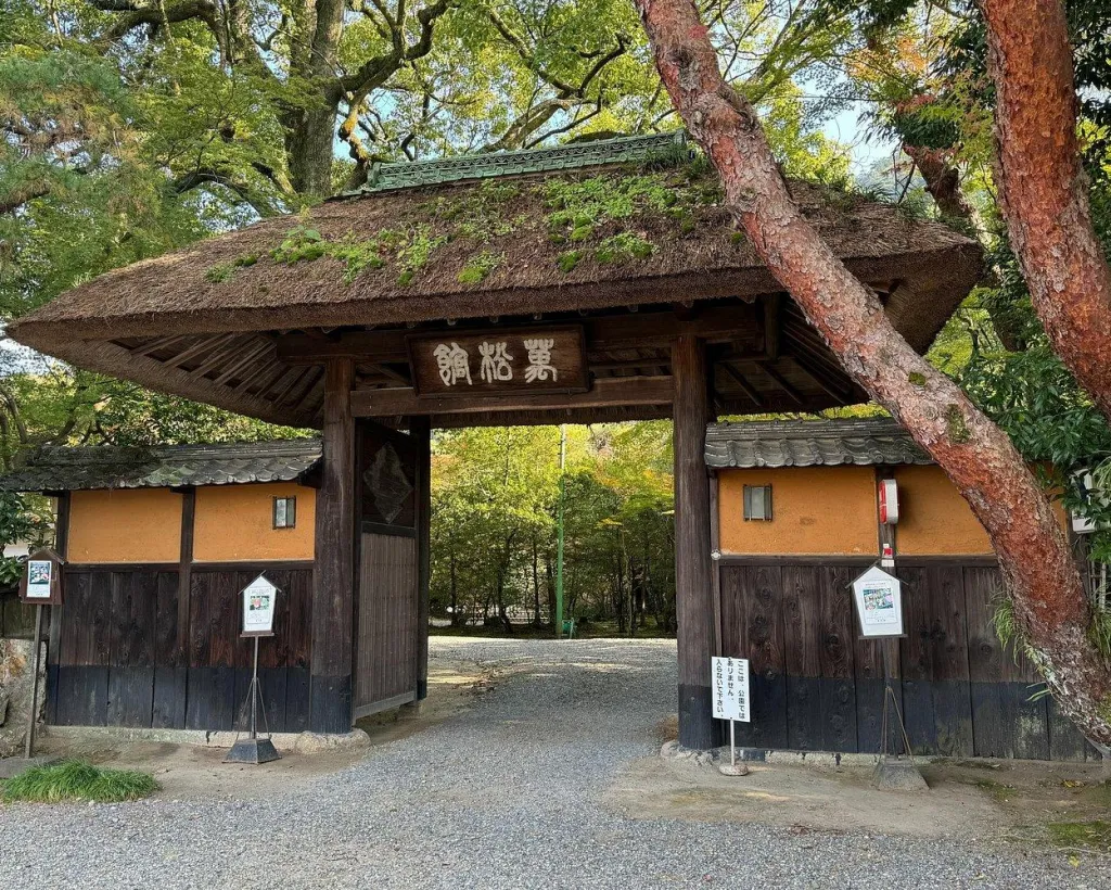 Gifu: Half Day Private Tour Castle, Great Buddha and Old Town#4