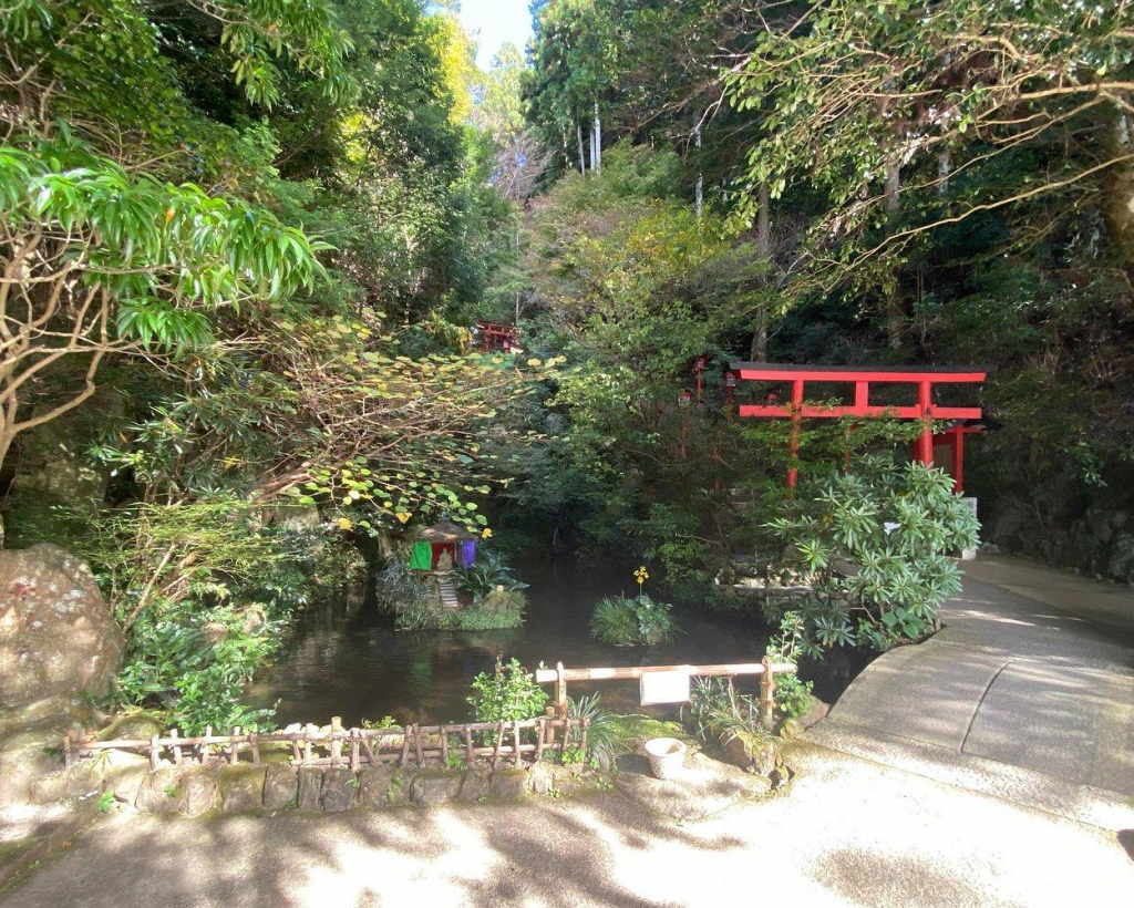 Exploring Hakata: Temples Shrines and Scenic Treasures#5