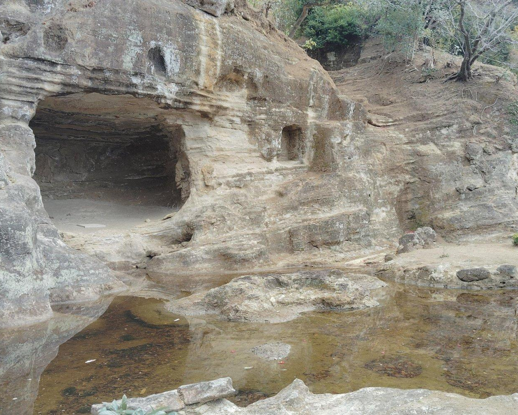 Kamakura: Hidden Gems and Sacred Sites Guided Tour#5