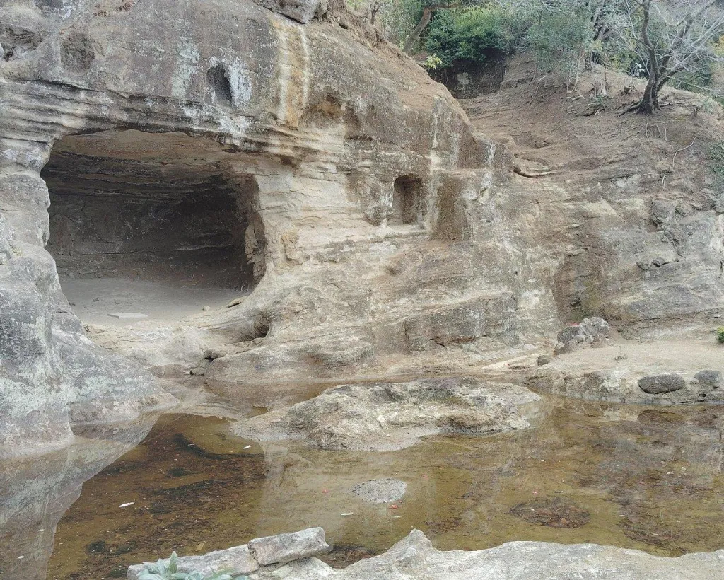 Kamakura: Hidden Gems and Sacred Sites Guided Tour#5