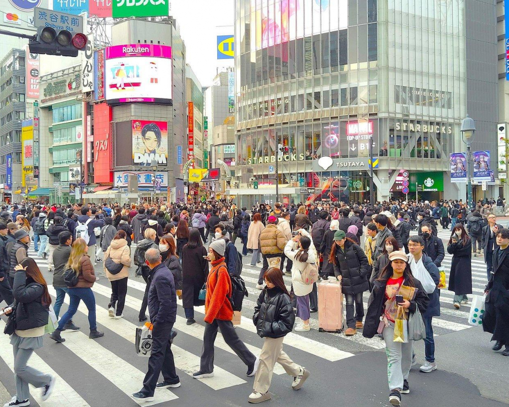 Tokyo Private Custom Walking Tour#4