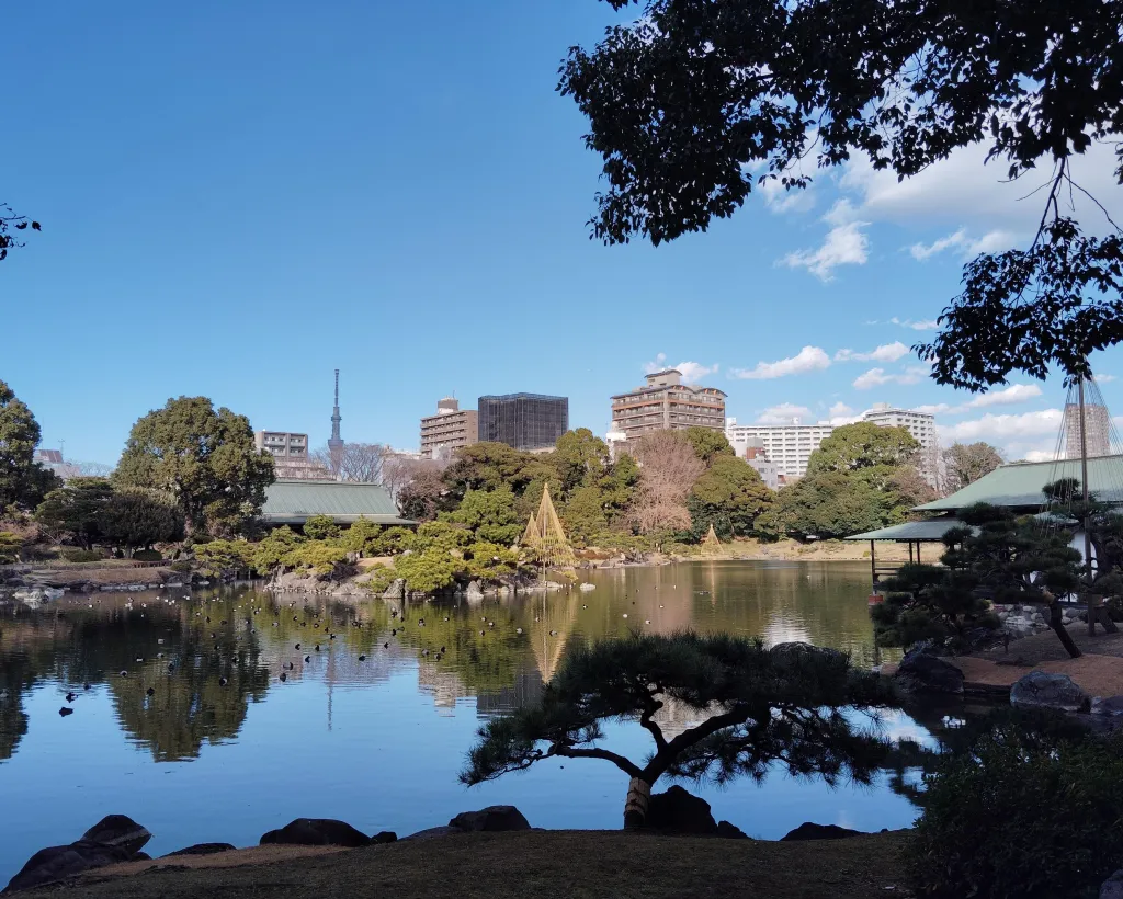 Edo Garden and Museum Tour through Tokyo Past#3