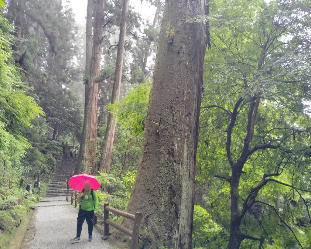 Nara: Muro-ji Temple – Sacred Serenity and Timeless Tradition#4