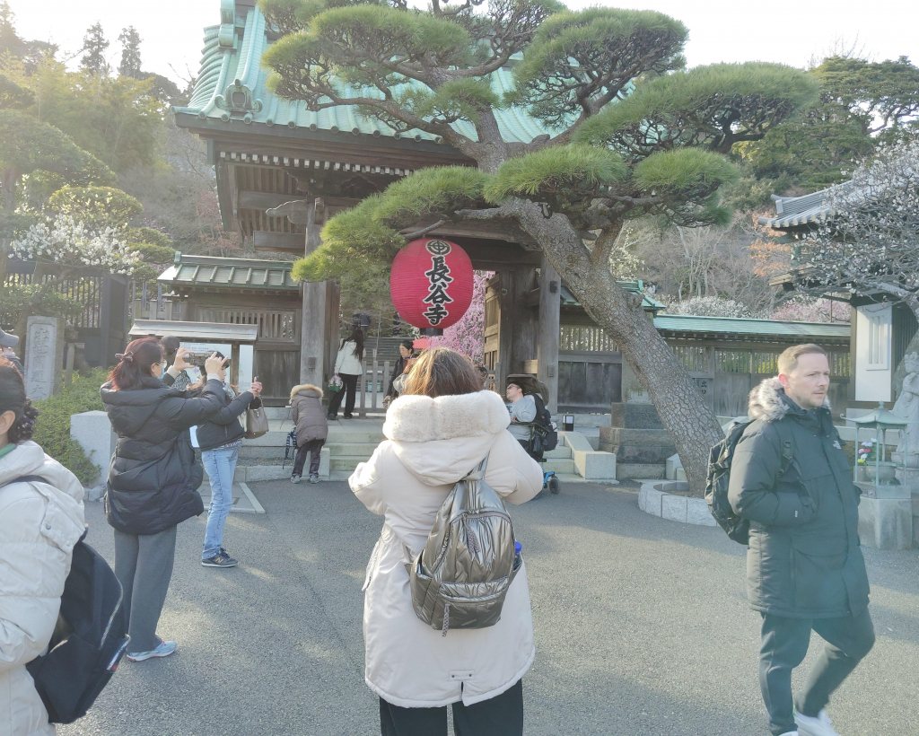 Kamakura: Temples, Shrines & Buddha Walking Tour#2
