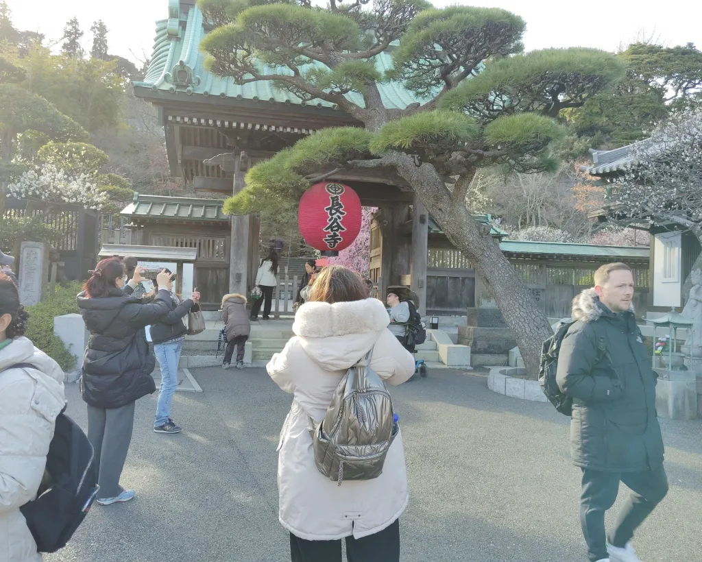 Kamakura: Temples, Shrines & Buddha Walking Tour#2