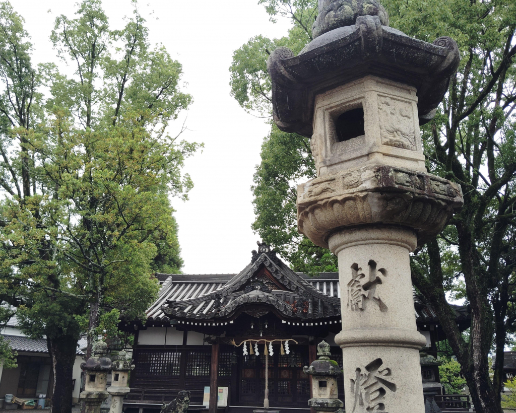 Nara: Step Into Edo-Era Streets in Imai’s Heritage Town#5