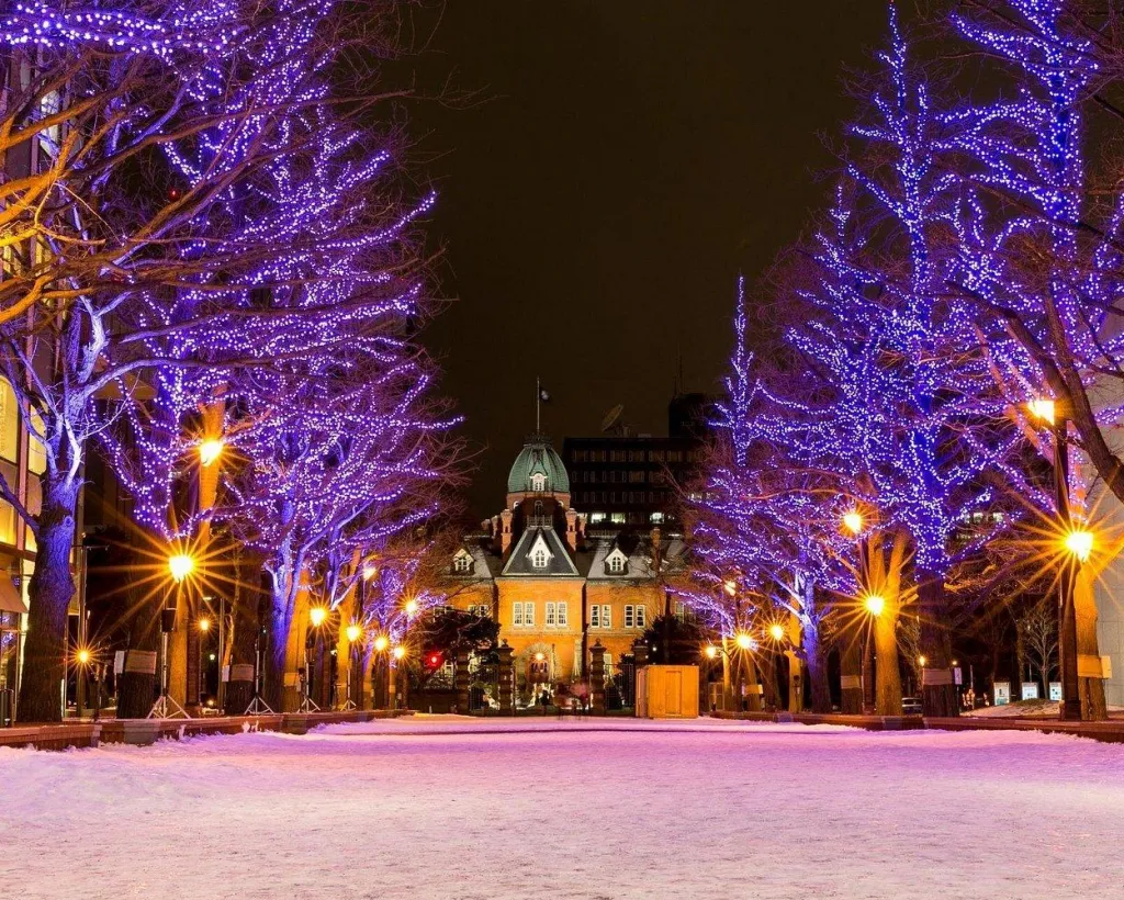 Sapporo: Illuminated Landmarks and TV Tower Night View Tour#2