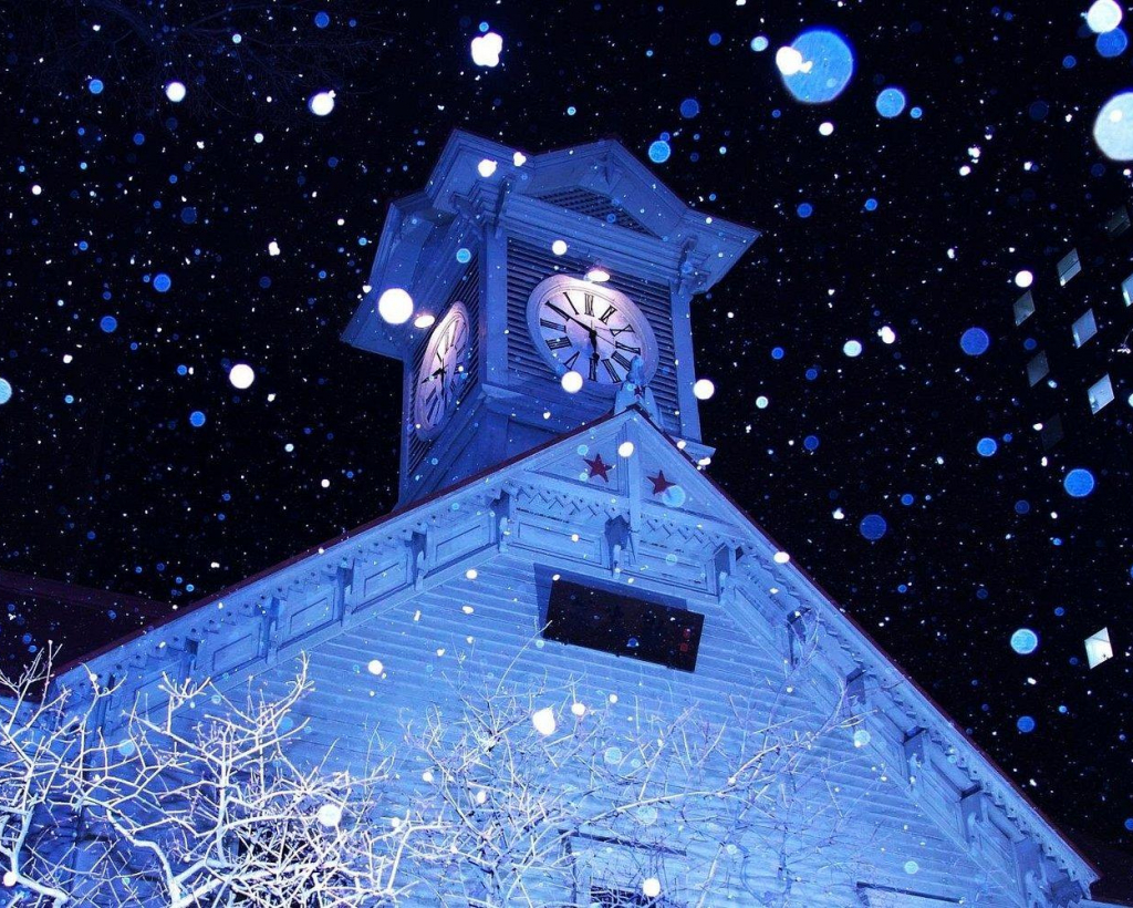 Sapporo: Illuminated Landmarks and TV Tower Night View Tour#3