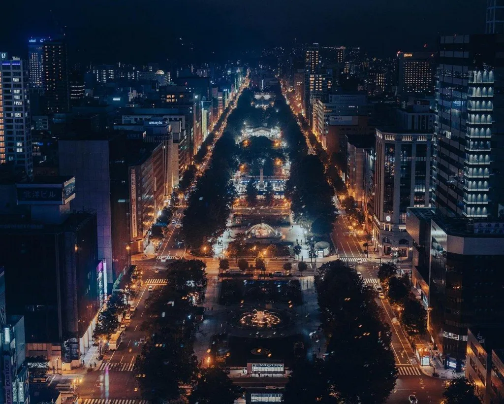 Sapporo: Illuminated Landmarks and TV Tower Night View Tour#5