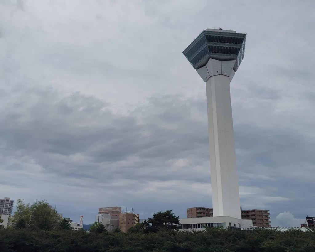 Hakodate: Goryokaku Star Fort & Tower Guided History Tour#4