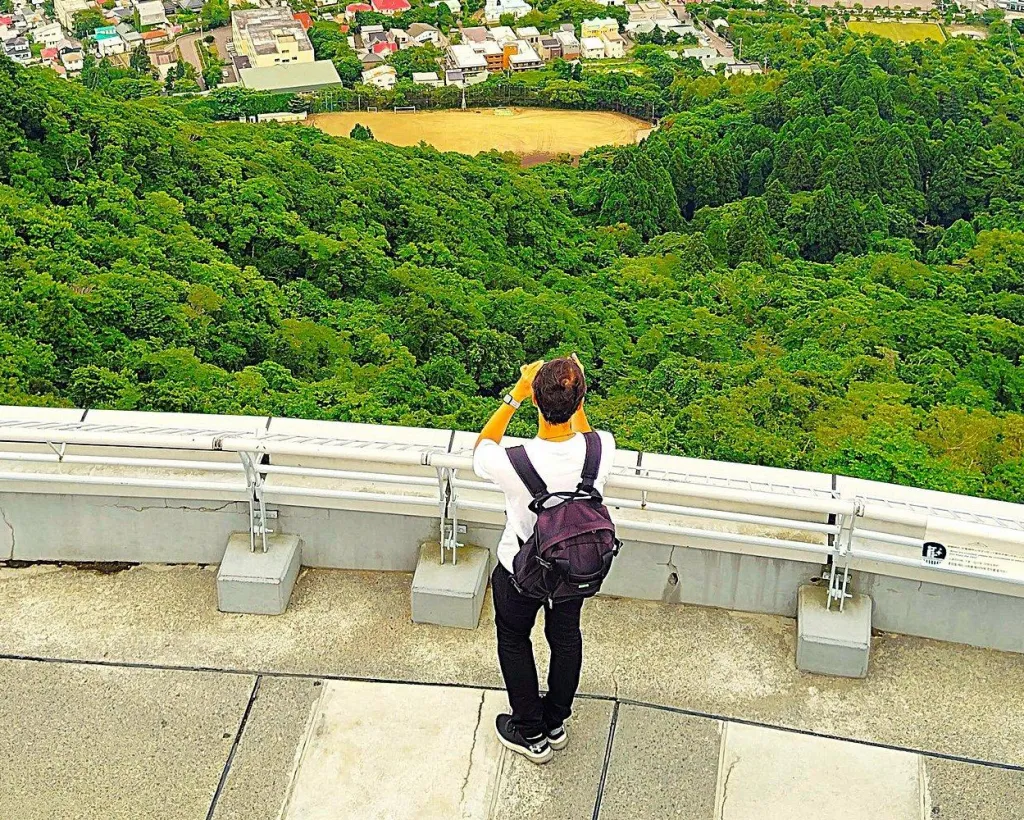 Hakodate: Historic Port Walk & Mt. Hakodate Ropeway Tour#3