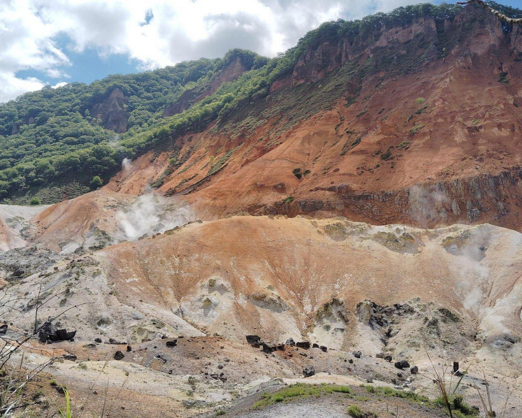 Hokkaido: Bear Park and Jigokudani Hell Valley Tour#5