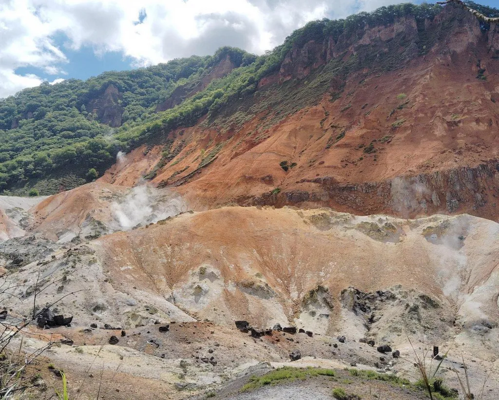 Hokkaido: Bear Park and Jigokudani Hell Valley Tour#5