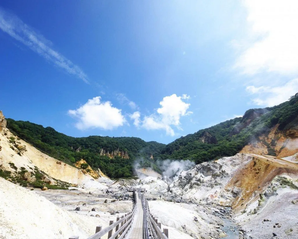 Hokkaido: Bear Park and Jigokudani Hell Valley Tour#4