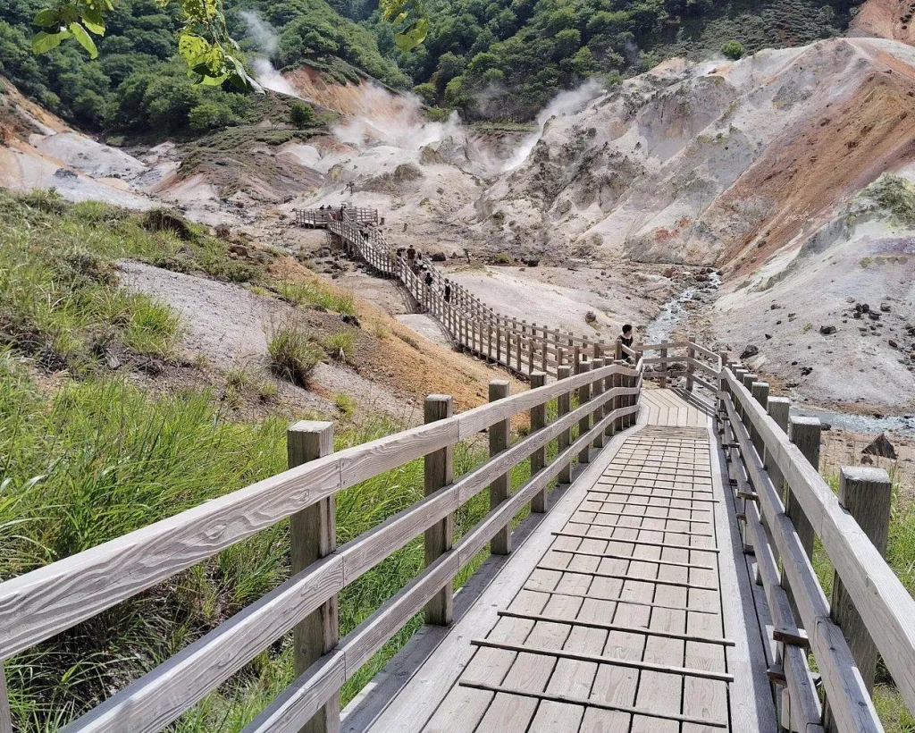 Hokkaido: Bear Park and Jigokudani Hell Valley Tour#2