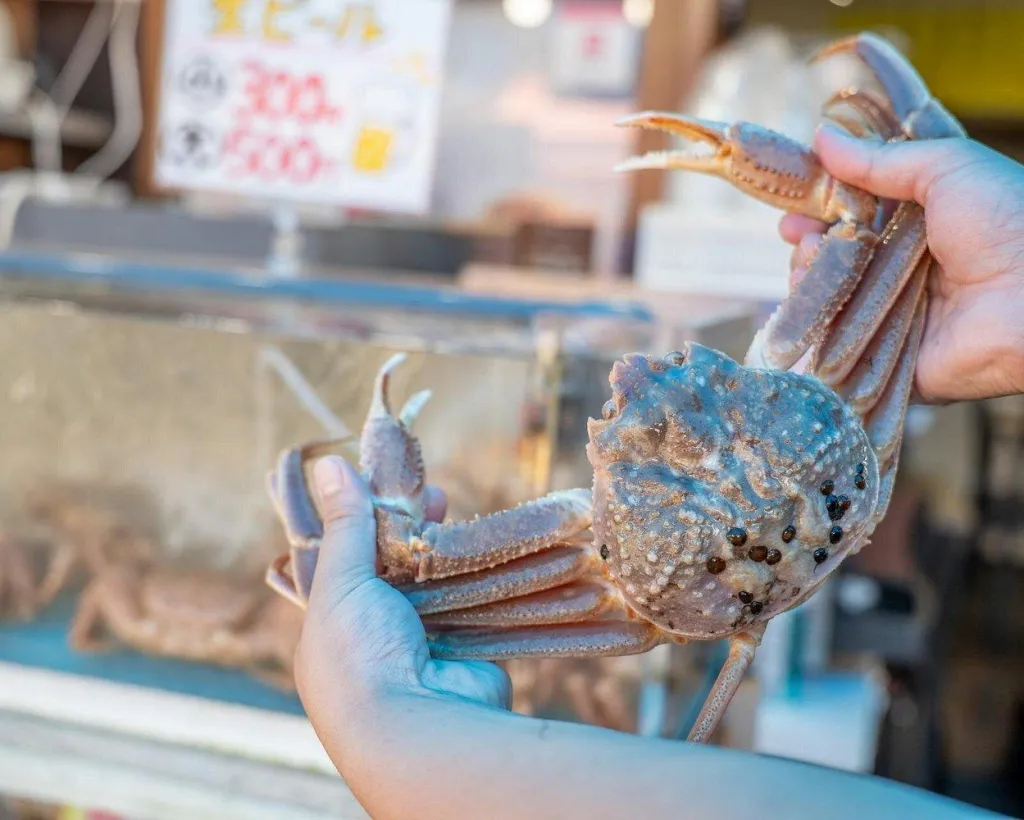 Hakodate: Morning Market Tour with Seafood Tasting Options#4