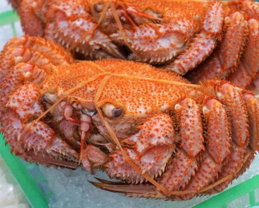 Hakodate: Morning Market Tour with Seafood Tasting Options#3