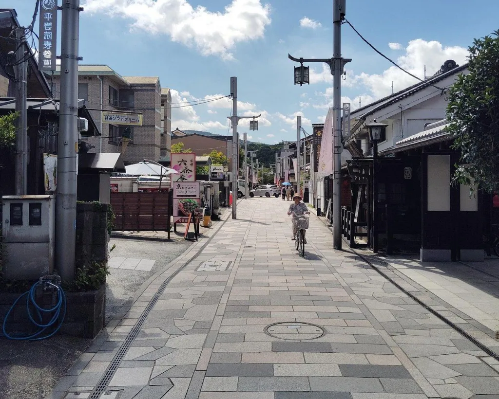 Kyoto: Discover Uji’s Two Hidden World Heritage Treasures#5