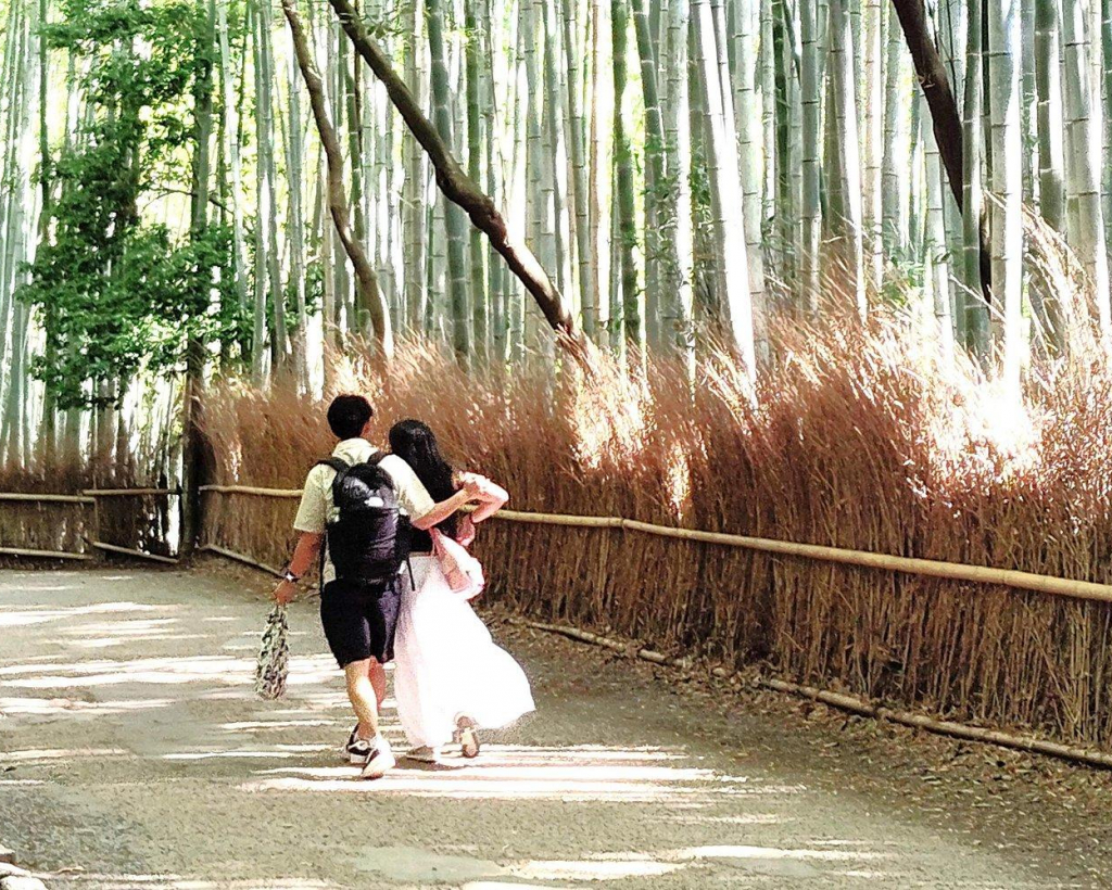 Kyoto: Serene Morning Walk in Arashiyama Bamboo Grove#1