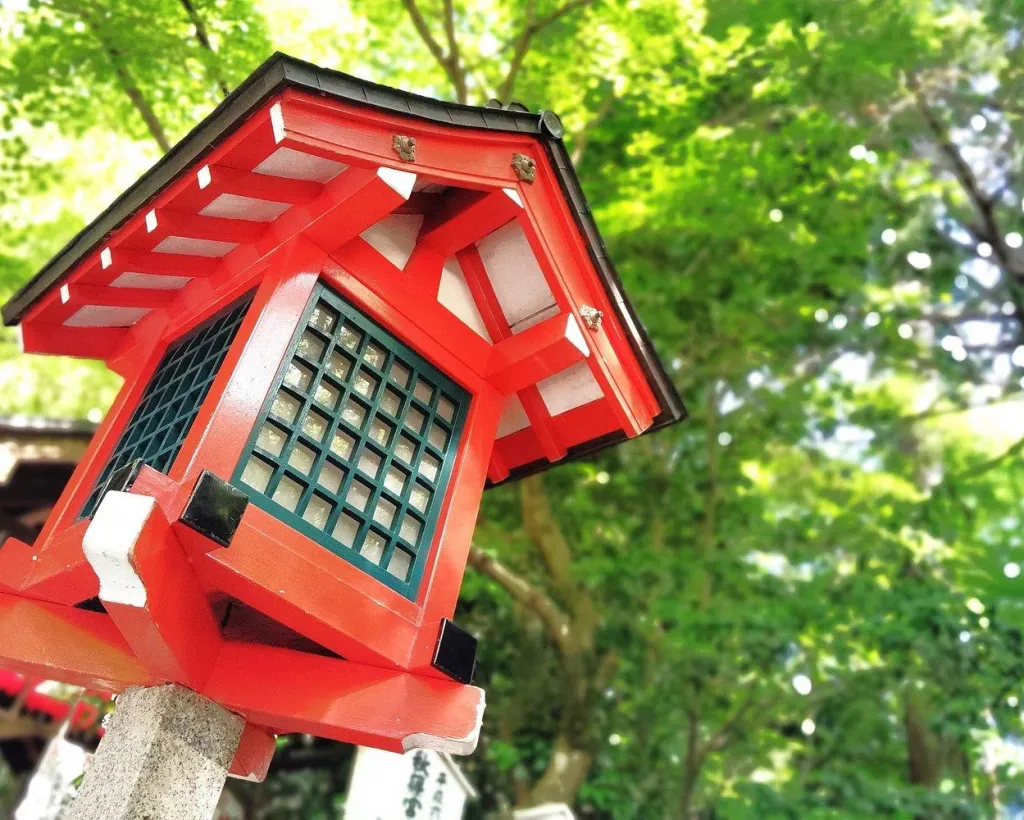 Kyoto: Serene Morning Walk in Arashiyama Bamboo Grove#5
