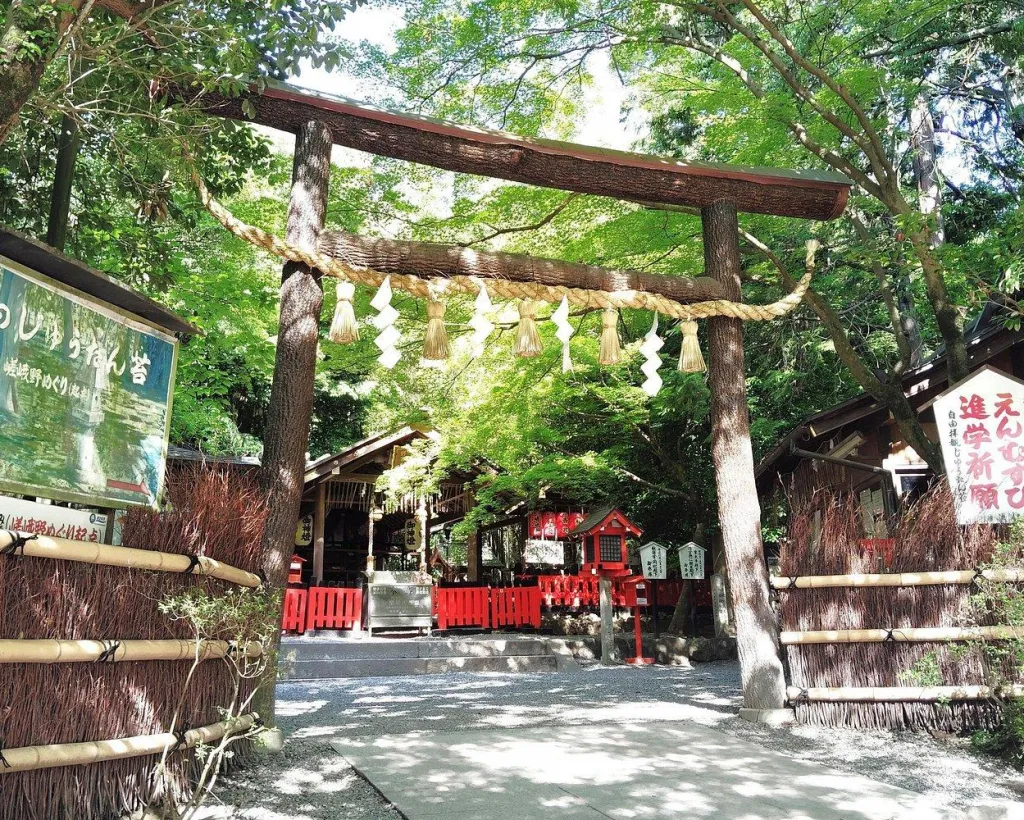 Kyoto: Serene Morning Walk in Arashiyama Bamboo Grove#2