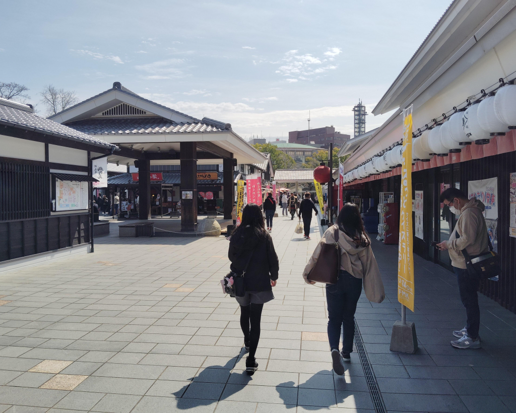 Kumamoto: Kumamoto Castle Guided Walking Tour 90min#5