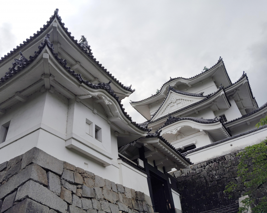 Iga: Discover Ninja Secrets at Ueno Castle & Ninja Museum#1