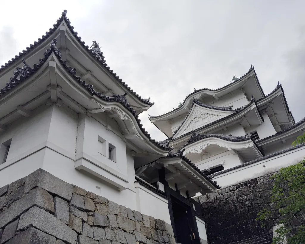 Iga: Discover Ninja Secrets at Ueno Castle & Ninja Museum#1