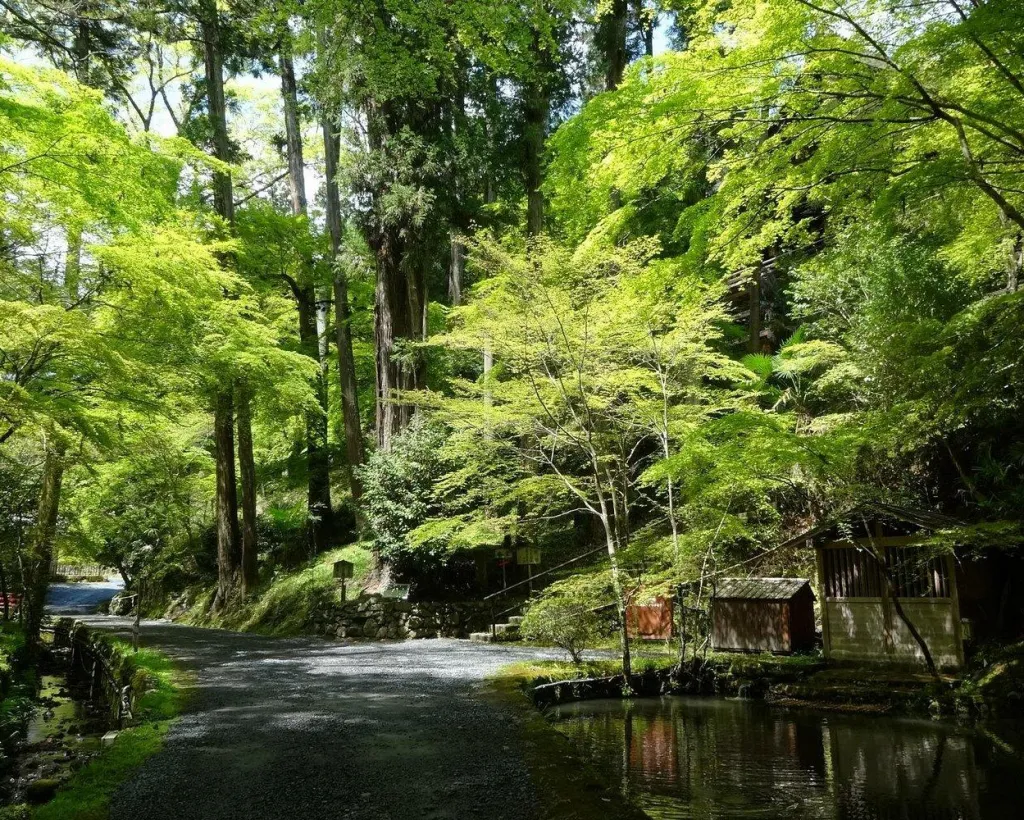 Otsu: Ishiyama-dera Sacred Stone Temple by Lake Biwa#2