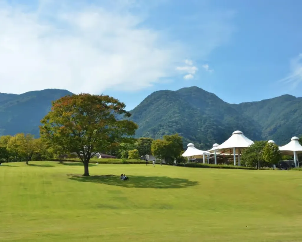 Gifu: Yōrō’s Unforgettable Walkable Artwork#1