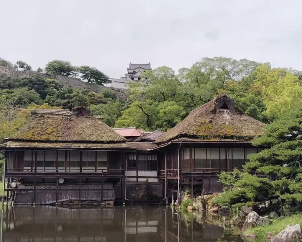 Shiga: Explore Hikone Castle and Savor Premium Omi Beef#3