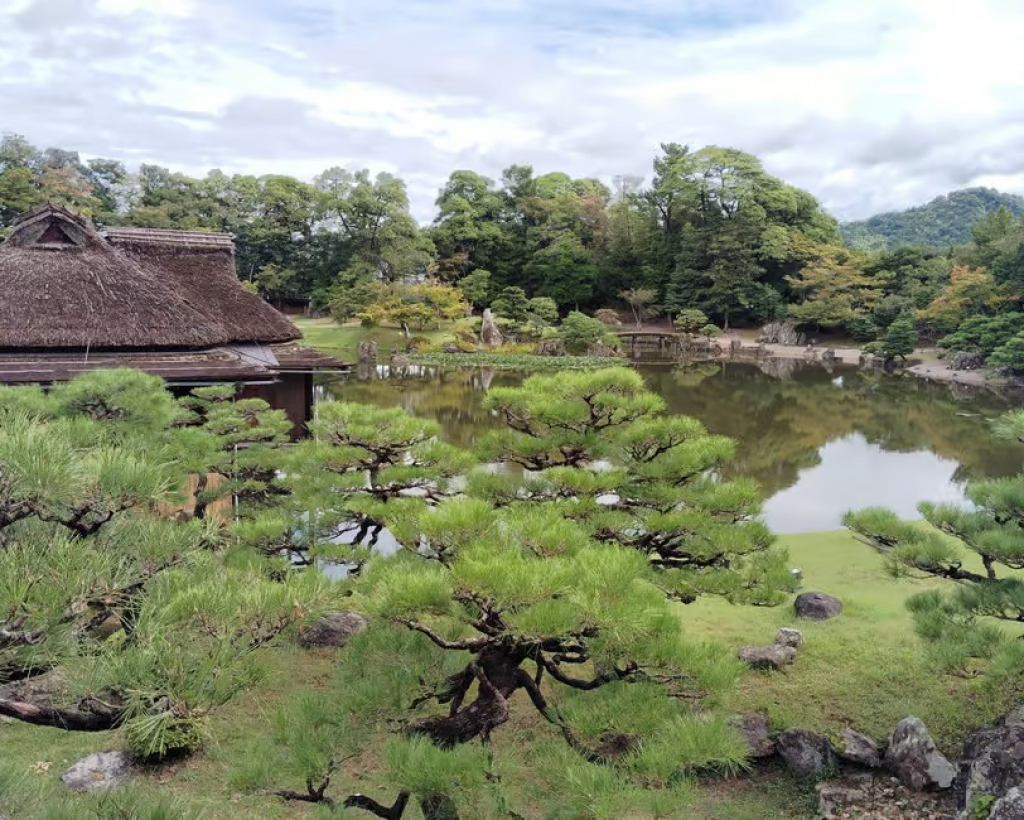 Shiga: Explore Hikone Castle and Savor Premium Omi Beef#5
