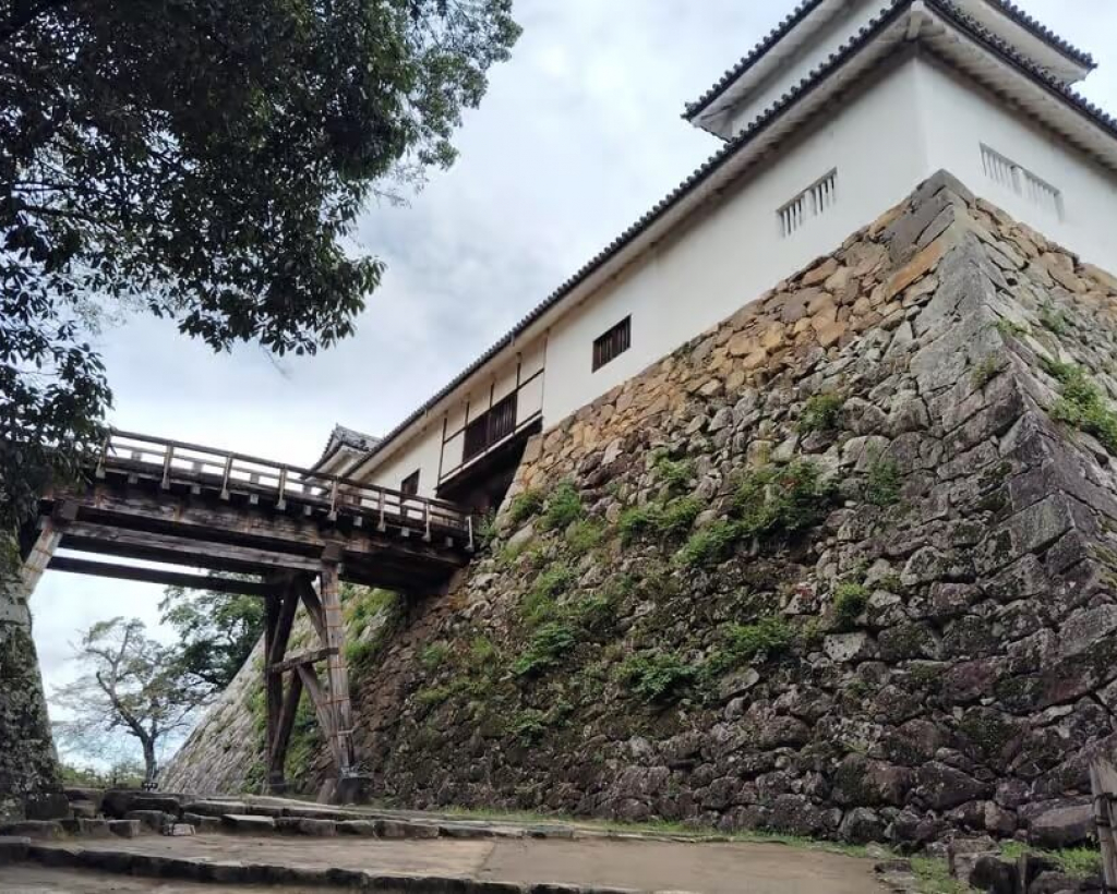 Shiga: Explore Hikone Castle and Savor Premium Omi Beef#1