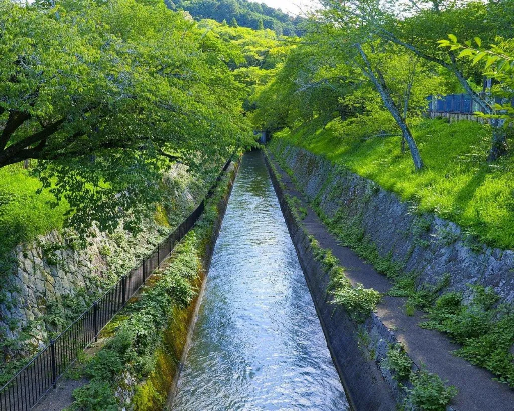 Shiga: Discover Otsu’s History, Culture, and Faith on Foot#2