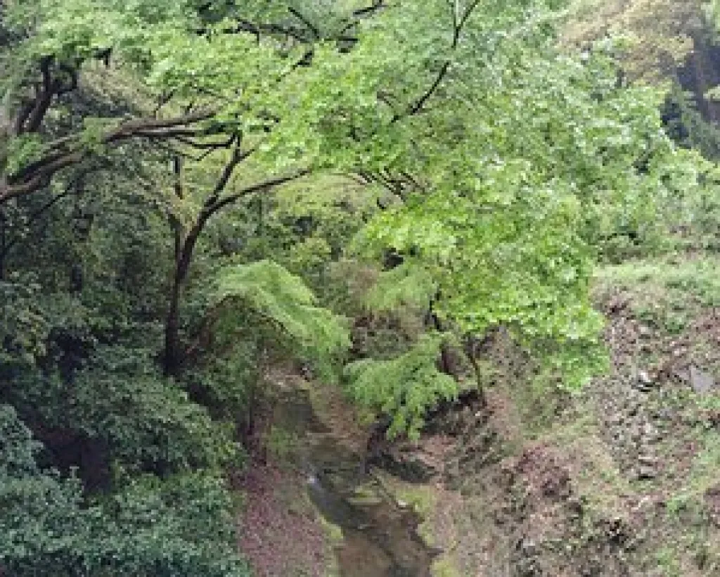 Kobe: Nunobiki Falls Morning Guided Hike#5