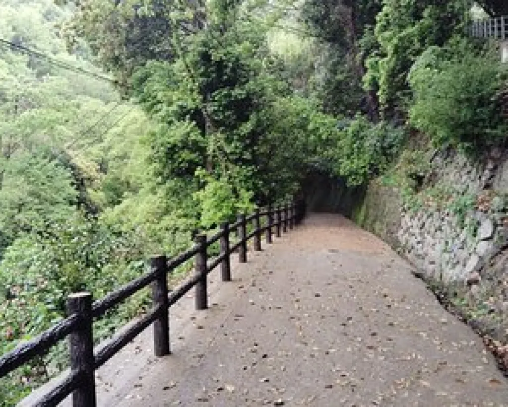 Kobe: Nunobiki Falls Morning Guided Hike#4