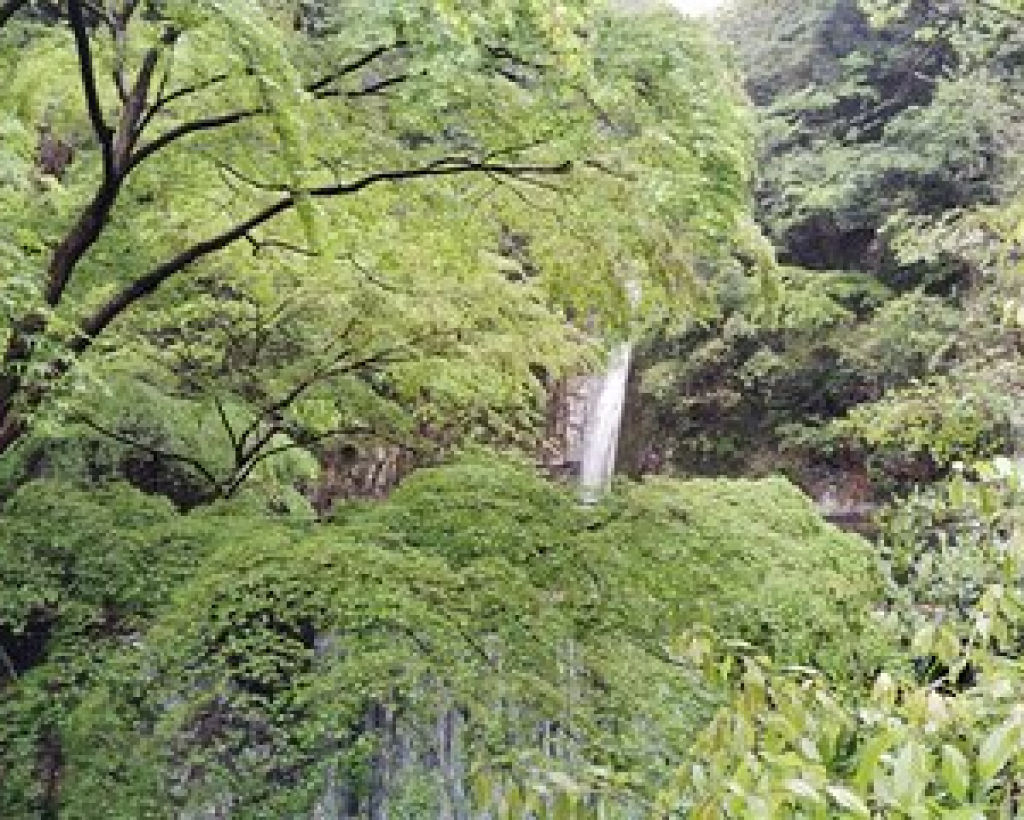 Kobe: Nunobiki Falls Morning Guided Hike#2