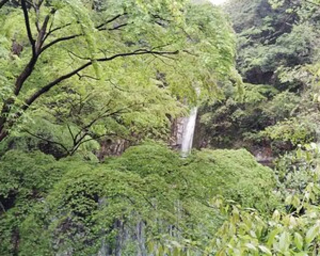 Kobe: Nunobiki Falls Morning Guided Hike#3