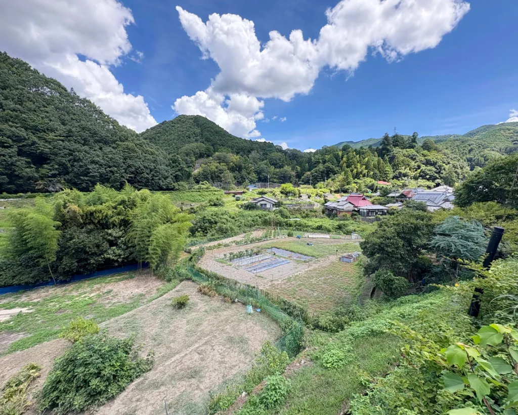 大阪：日本の自然美に触れる里山・棚田・古民家を巡るローカルウォーキングツアー#4