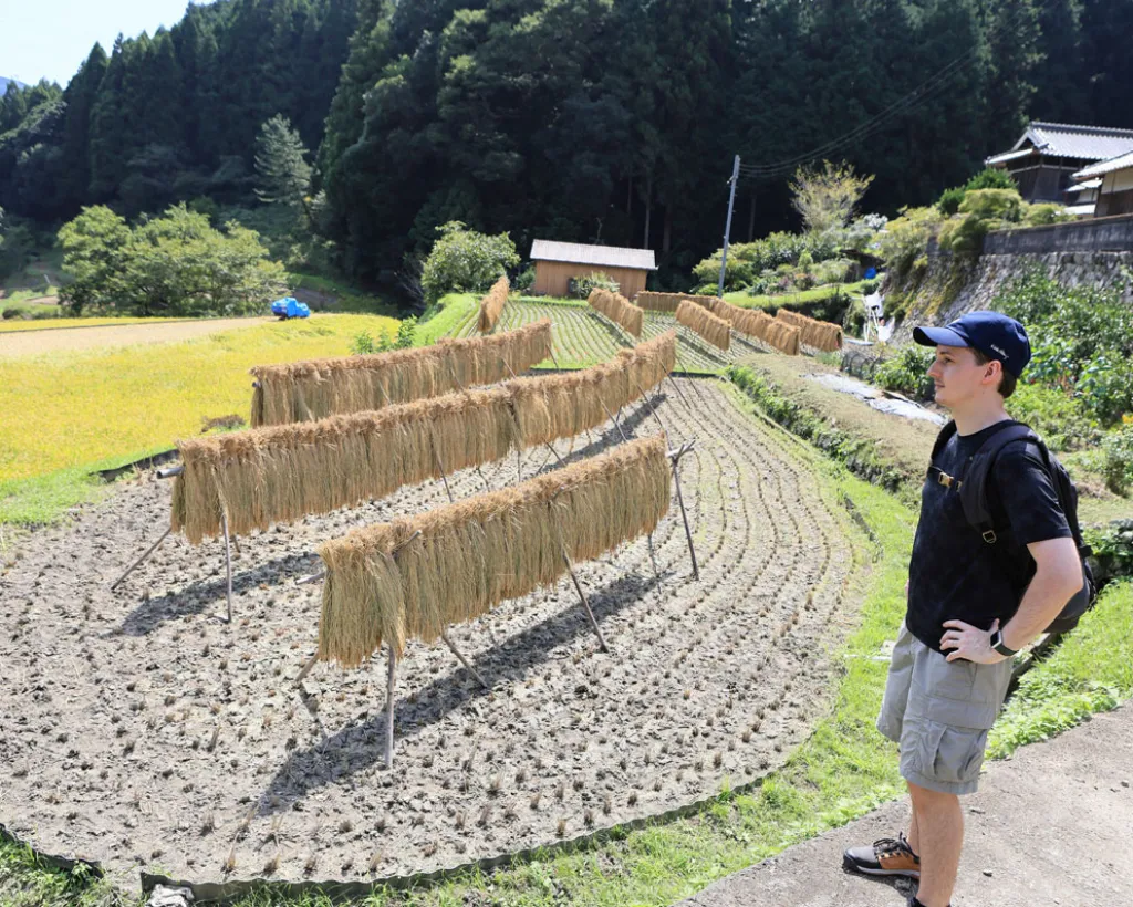 大阪：日本の自然美に触れる里山・棚田・古民家を巡るローカルウォーキングツアー#3