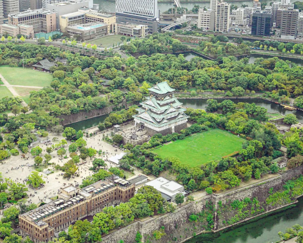 大阪、灣區：Cessna飛行遊覽　從高空俯瞰大阪城和世界遺產的絕景私人之旅#3