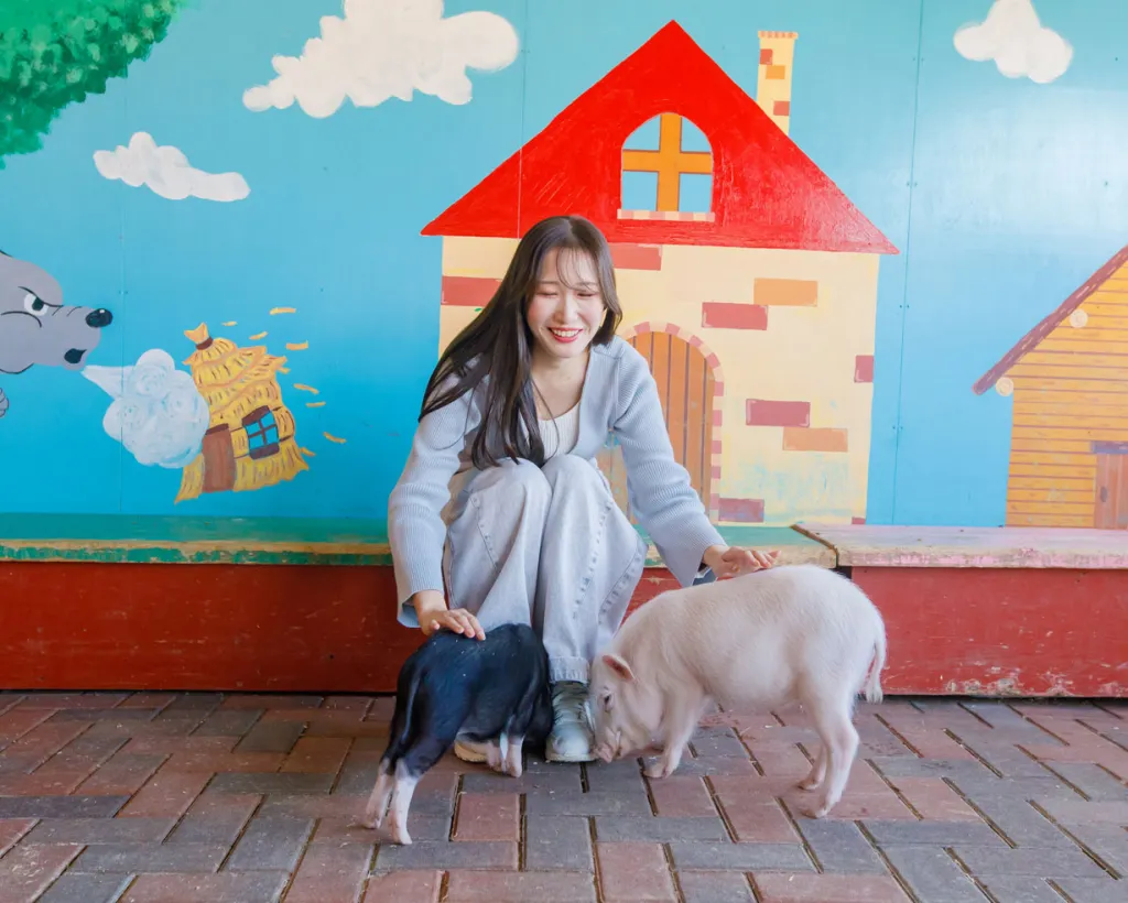 大阪：關西最大規模的翠綠牧場！享受和動物互動、山羊散步、餵食迷你豬等體驗#4