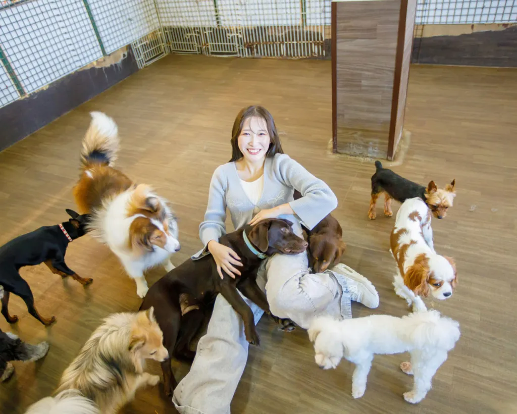 大阪：關西最大規模的翠綠牧場！享受和動物互動、山羊散步、餵食迷你豬等體驗#5