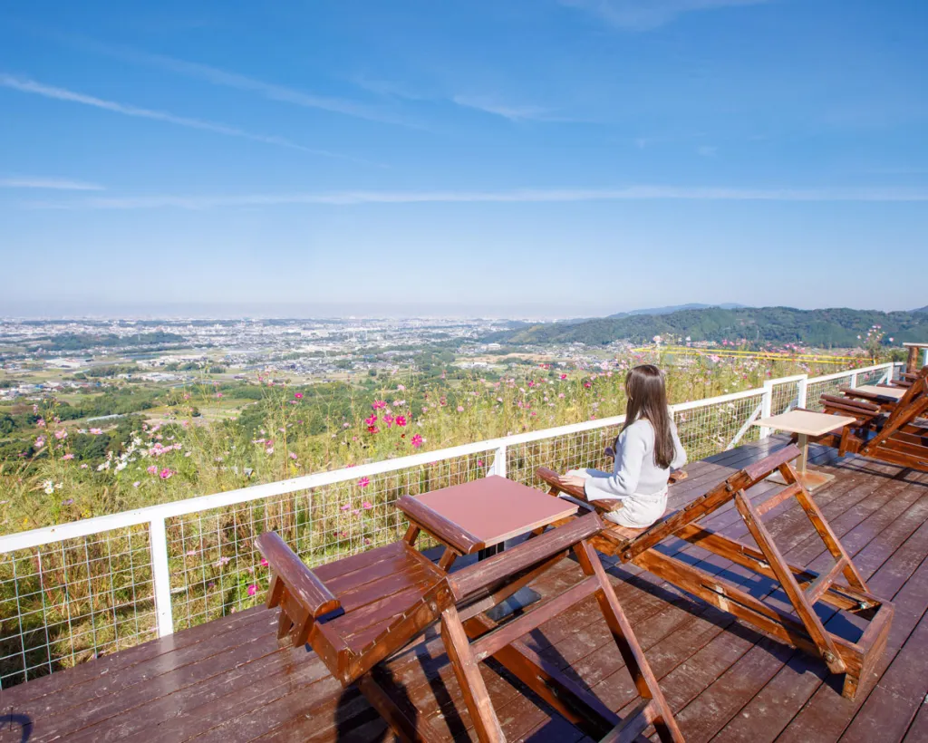 大阪：關西最大規模的翠綠牧場！享受和動物互動、山羊散步、餵食迷你豬等體驗#3