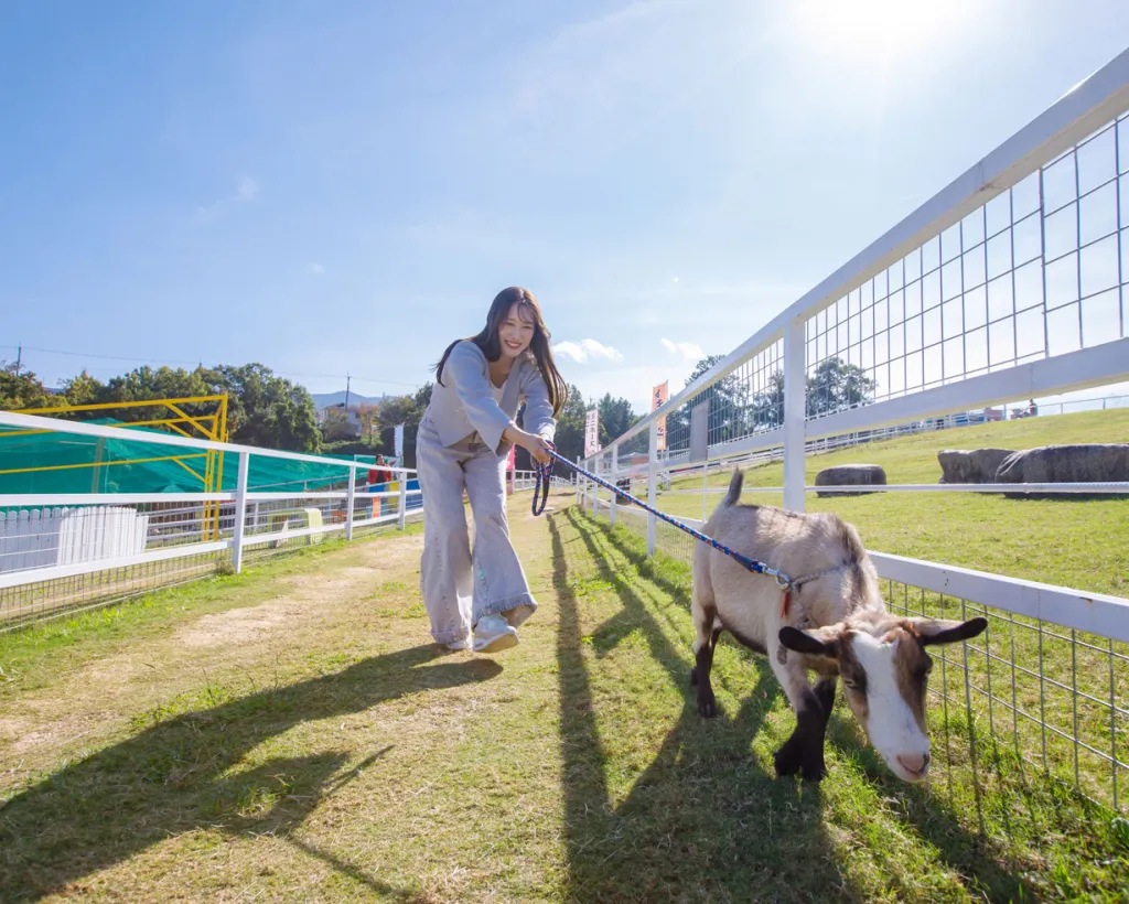 大阪：關西最大規模的翠綠牧場！享受和動物互動、山羊散步、餵食迷你豬等體驗#1