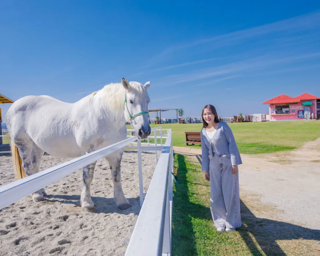 大阪：關西最大規模的翠綠牧場！享受和動物互動、山羊散步、餵食迷你豬等體驗#2