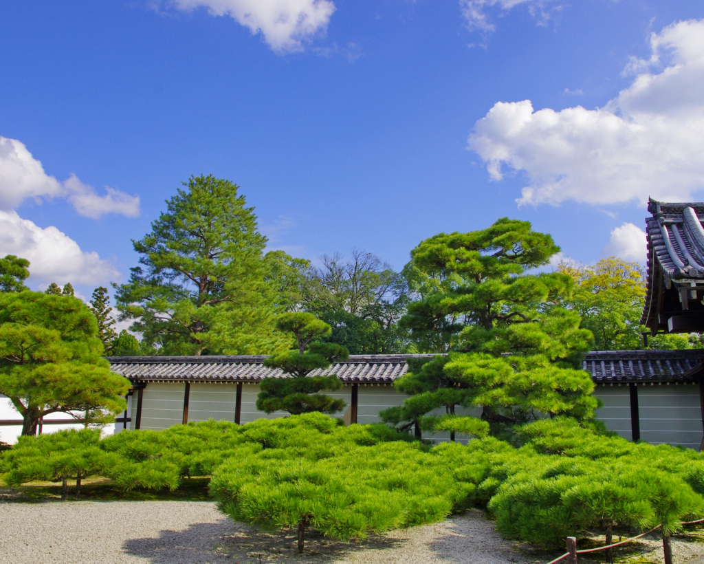 Kyoto: Ninna-ji, Stunning Pagoda and Gardens Tour in 1.5h#3