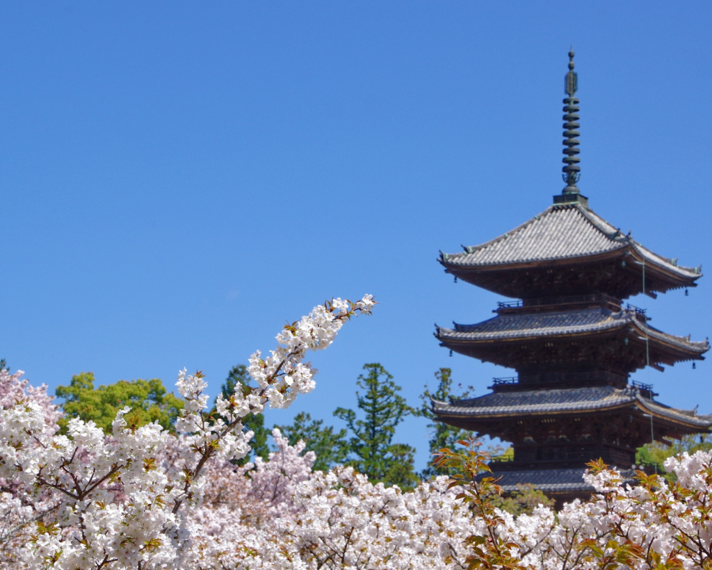 Kyoto: Ninna-ji, Stunning Pagoda and Gardens Tour in 1.5h#1