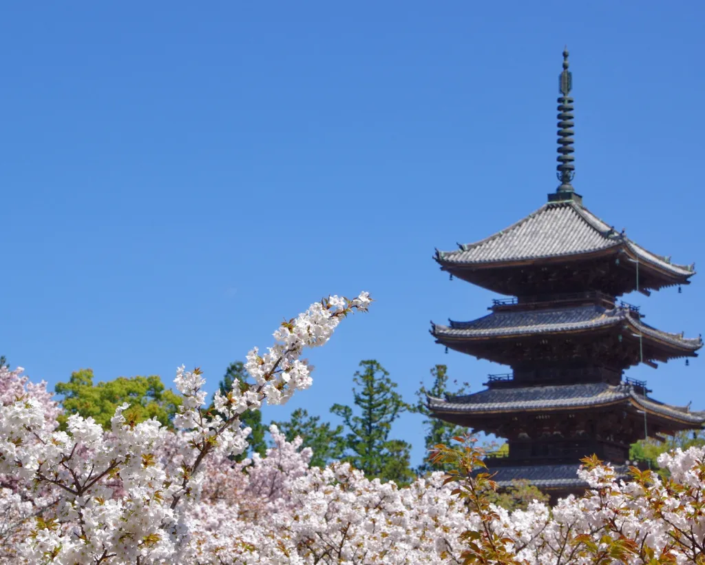 Kyoto: Ninna-ji, Stunning Pagoda and Gardens Tour in 1.5h#1