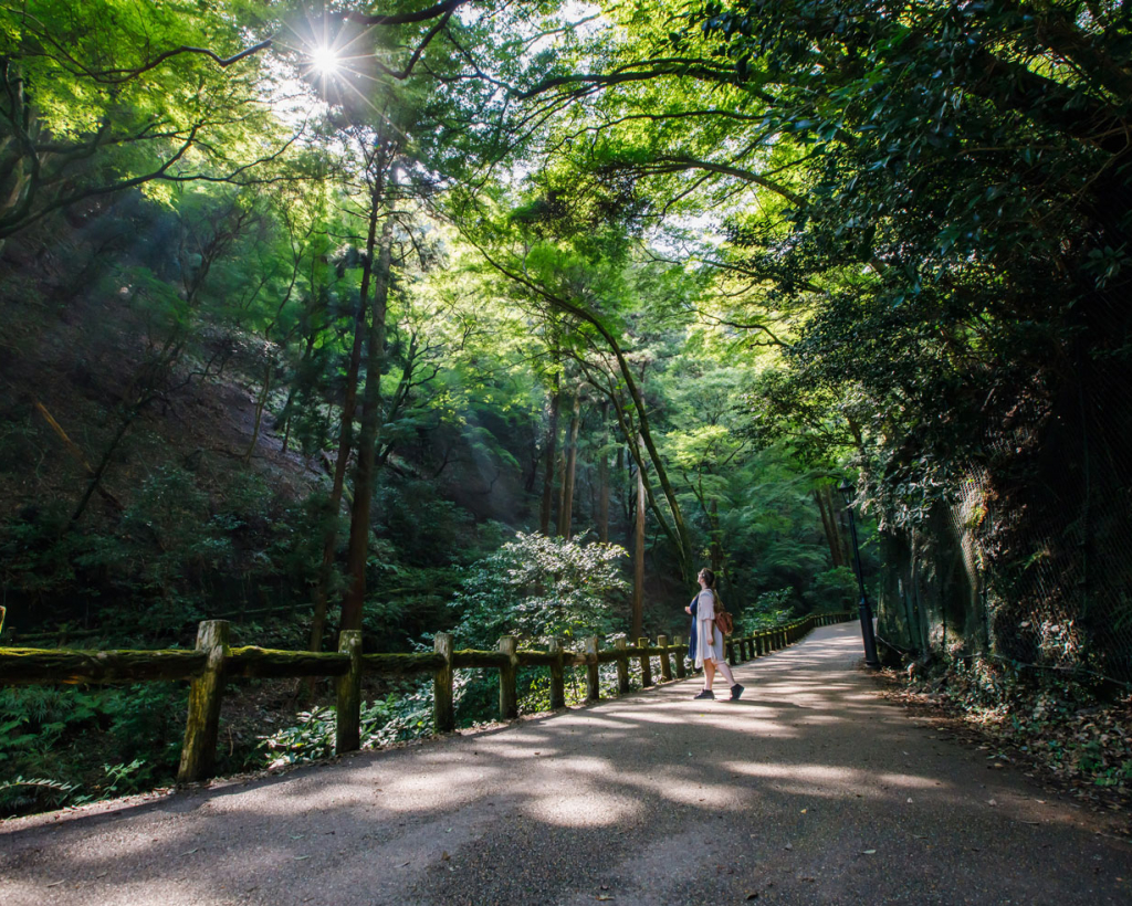 Osaka: Craft beer tasting and majestic waterfall hiking tour#2